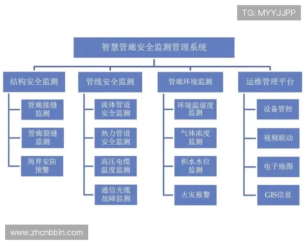 宝盈系统的彩票平台常见风险防范措施与安全保障技巧
