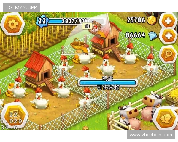 探索十三水游戏官网的多样游戏模式，满足不同玩家的需求